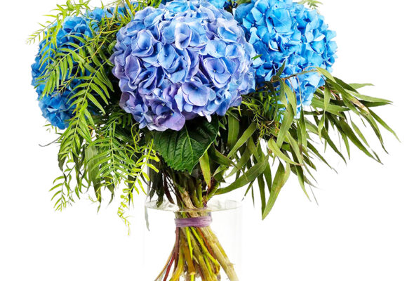 Floristería Columelas – Concept Store Floral en el Centro de Madrid